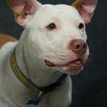 Profile Picture of Carla MacKinnon (@carlamackinnon) on Instagram