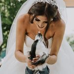 Profile Picture of Erika Sepulveda Drexel (@erikaasepulveda) on Instagram