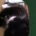 Profile Picture of Erica Ruppert (@e.rup) on Instagram