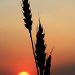 Profile Picture of Colten Patterson (@coltenpatterson) on Instagram