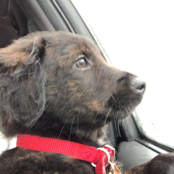 Profile Picture of Josh Cologgi (@jayezi18) on Poshmark