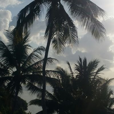 Profile Picture of Mahdi Hussein (@mahdi_hussein1) on Twitter