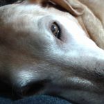 Profile Picture of Michèle Diane (@michelelabonte24) on Instagram