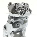 Profile Picture of Kevin O'Brien (@Kevin-OBrien) on Facebook