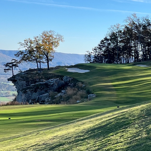 Profile Picture of Amanda Abercrombie (@goose_feathers) on Poshmark