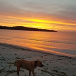 Profile Picture of Jesse Macfarlane (@jesse.macfarlane.7) on Instagram