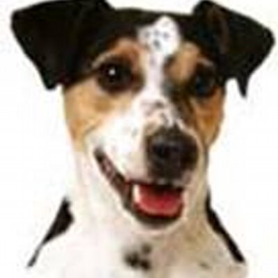 Profile Picture of John Kender (@rednekst) on Twitter