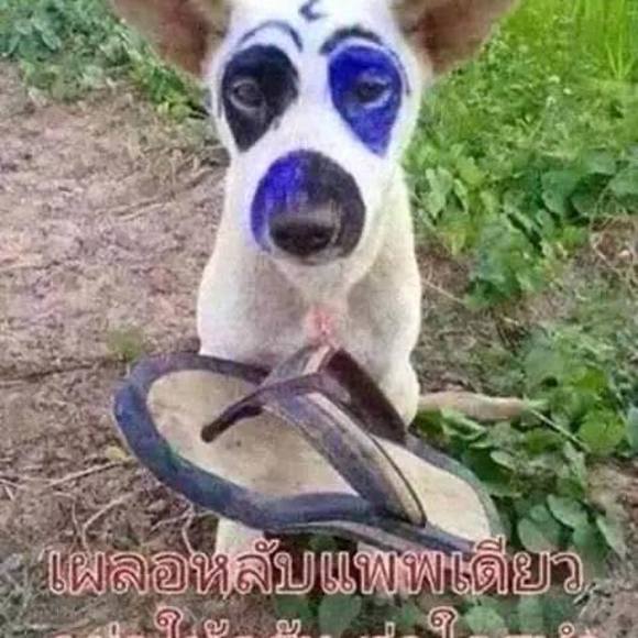 Profile Picture of John Chase (@sboondeemak) on Poshmark