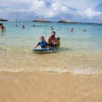 Profile Picture of Chris Casaus (@casauscrane) on Instagram