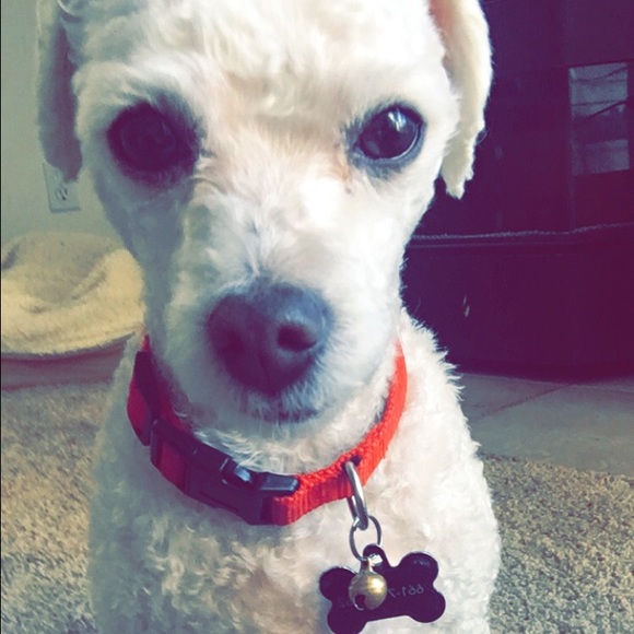 Profile Picture of Kyli Gotham (@kylimaison) on Poshmark