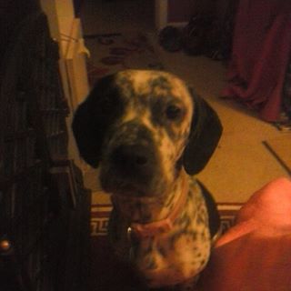 Profile Picture of Judith Aspinall (@judith.aspinall.3) on Facebook