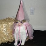 Profile Picture of 𝓁𝒾𝓉𝓉𝓁𝑒 𝒱𝑒𝓇𝓈𝒶𝒾𝓁𝓁𝑒𝓈 (@_babylonglegs_) on Instagram