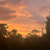 Profile Picture of Caleb Jenkins (@calebjenkins6238) on Youtube