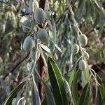 Profile Picture of Jason Leeling (@leeling7713) on Instagram