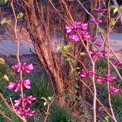 Profile Picture of Lian Duan (@fgshdl) on Twitter