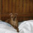 Profile Picture of Debbie Kendrick (@debbiejoy2) on Pinterest