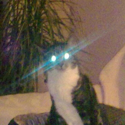 Profile Picture of Stephen Krell (@KrellStephen) on Twitter