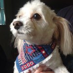 Kevin Pendragon - Instagram Profile Picture of Kevin Pendragon (@kevin_pendragon) on Instagram