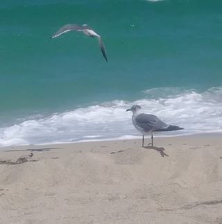 Profile Picture of Ken Burger (@Ken-Burger) on Facebook