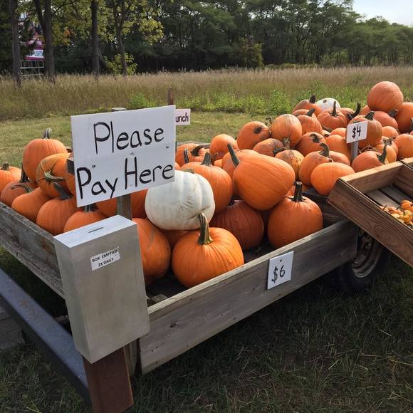 Profile Picture of Marion Campbell (@17mcampbell) on Poshmark