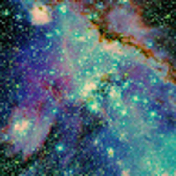 Profile Picture of Sara Sacher (@screebs) on Poshmark