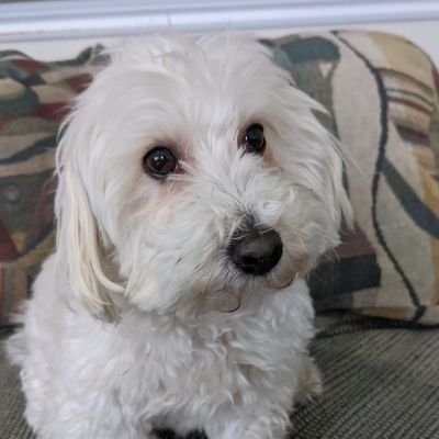 Profile Picture of Ethan Curry (@EthanCu92062248) on Twitter