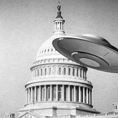 Profile Picture of Travis Gillis (@Derper312) on Twitter