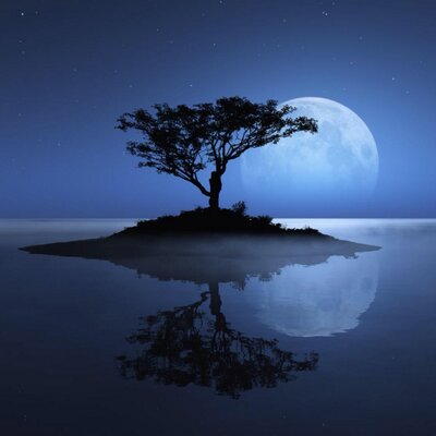 Profile Picture of Carl Tavares (@carltavares) on Twitter