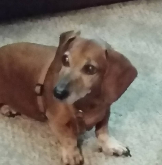 Profile Picture of Sandy Hendrichsen (@sandymarie1964) on Poshmark