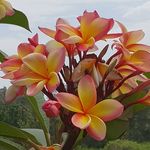 Profile Picture of Alvine Eager (@eageralvine) on Instagram