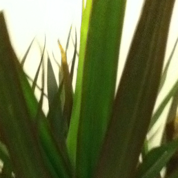 Profile Picture of Lindsay Stromquist (@lindsaybee10) on Poshmark