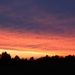 Profile Picture of Mitchell Dickey (@mitchell700) on Pinterest