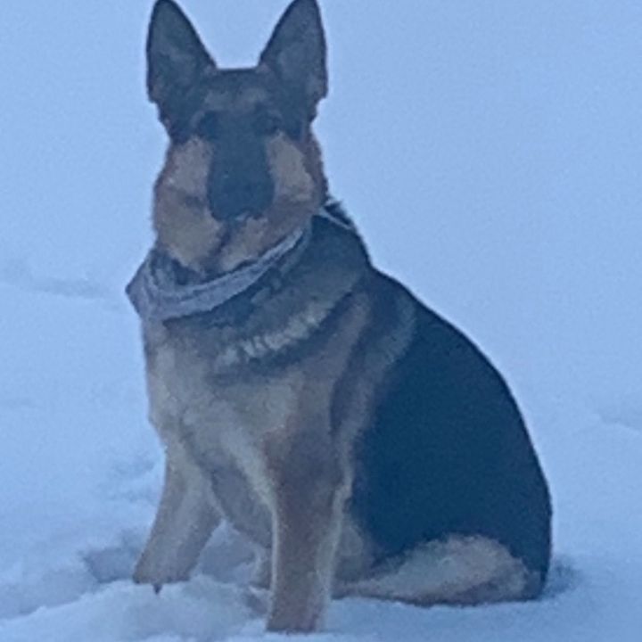 Profile Picture of Joepalozzi11316 (@joepalozzi11316) on Tiktok