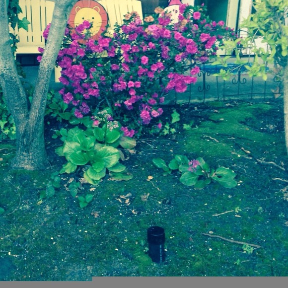 Profile Picture of Heather Stoneman (@hstoneman123) on Poshmark