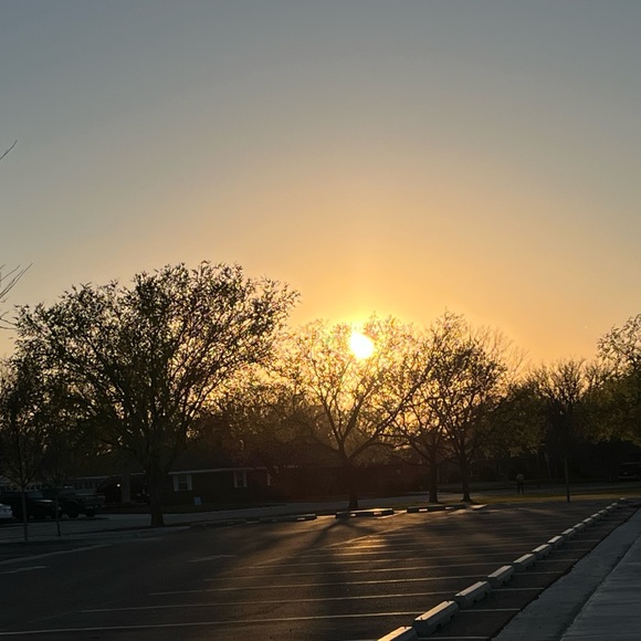 Profile Picture of Coraline Padilla (@coralinepadilla) on Poshmark