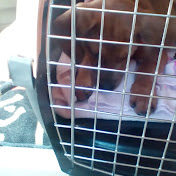 Profile Picture of Brennon Smith (@brennonsmith1241) on Youtube