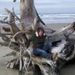 Profile Picture of Tamera Roberts (@tlr34) on Pinterest