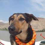 Profile Picture of Sean Hannam (@sean1hannam) on Instagram