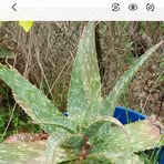 Profile Picture of Lucy Birrell (@Lucy-Birrell) on Facebook