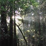 Profile Picture of Michael Termini (@mr_bayonne) on Instagram