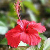 Profile Picture of Mimi Gee (@crazojw) on Youtube