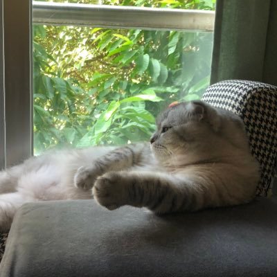 Profile Picture of GUGU (@seangust55) on Twitter