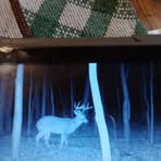 Profile Picture of Cody Powell (@Cody-Powell) on Facebook