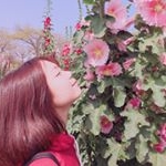 Profile Picture of Yolanda (@yolandacheng751) on Instagram