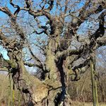 Profile Picture of Vicky Haden (@vickyhaden) on Instagram