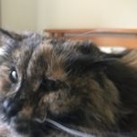 Profile Picture of Michael Krol (@michael_912_) on Instagram