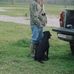 Profile Picture of Scott Lemmon (@scott.lemmon.393) on Facebook