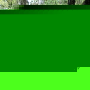 Profile Picture of Bob Oldham (@oldhamb) on Myspace