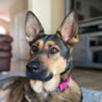 Profile Picture of Elizabeth Luster (@elizabeth-luster-5) on Quora