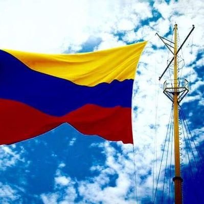 Profile Picture of Carlos Consuegra P. (@carcons2408) on Twitter